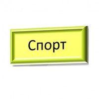 Спорт