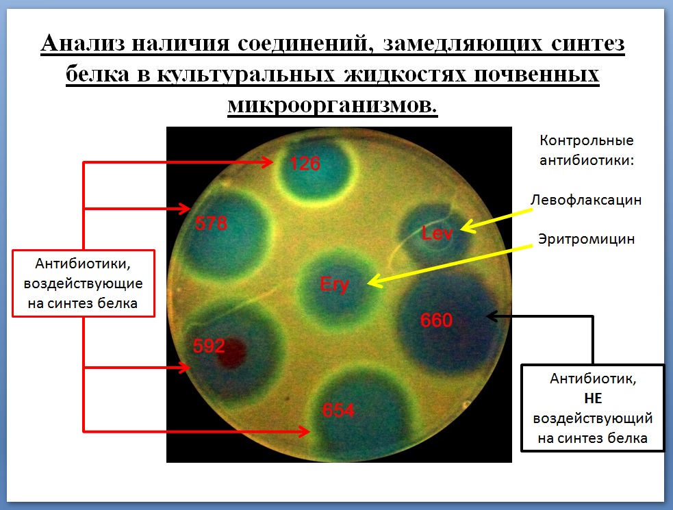 Исследование на наличие