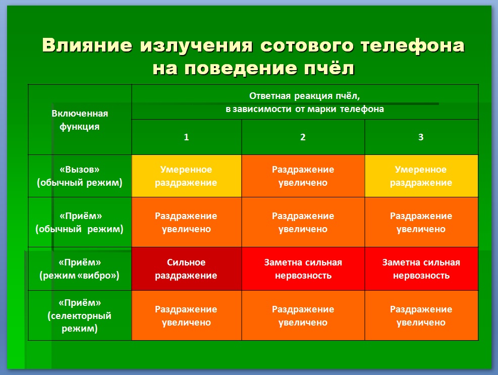 Антропогенное влияние на жизнедеятельность пчел на территории проект