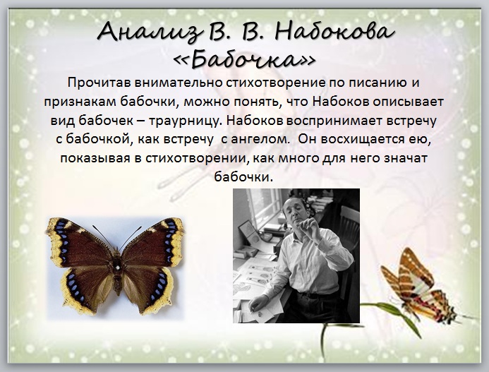 Стихотворение бабочка. Стих про бабочку. Бабочки Набокова. Стихотворение Набокова бабочка.